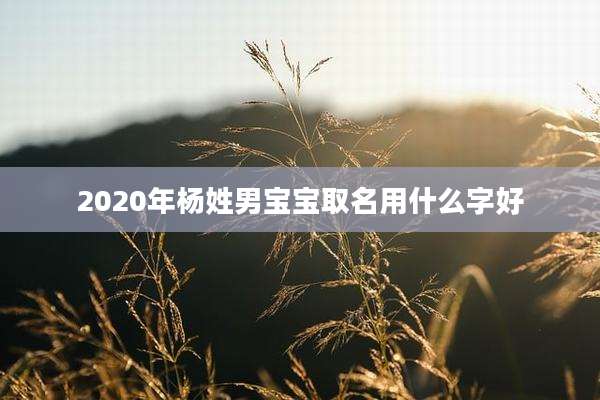 2020年杨姓男宝宝取名用什么字好