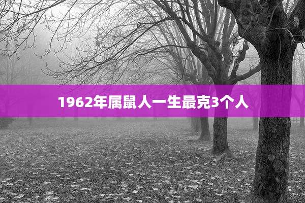 1962年属鼠人一生最克3个人