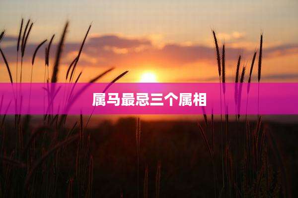 属马最忌三个属相