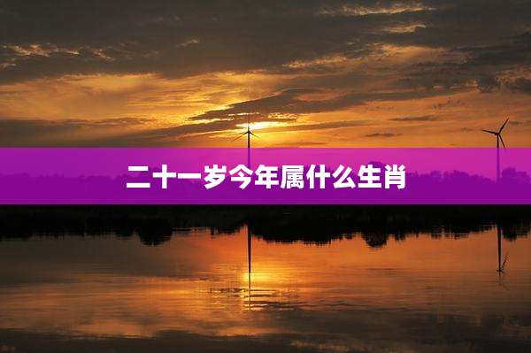 二十一岁今年属什么生肖