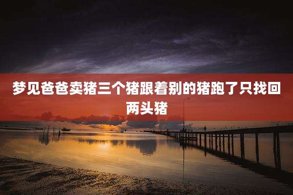 梦见爸爸卖猪三个猪跟着别的猪跑了只找回两头猪