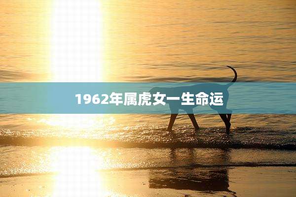 1962年属虎女一生命运