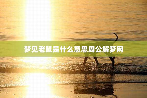 梦见老鼠是什么意思周公解梦网