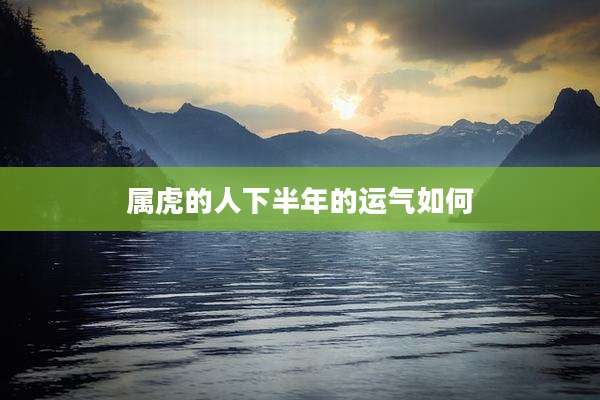 属虎的人下半年的运气如何