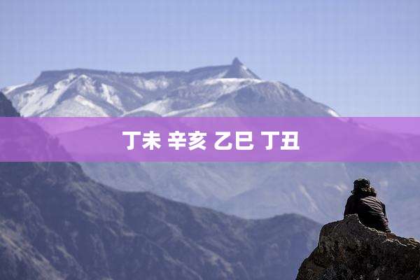 丁未 辛亥 乙巳 丁丑
