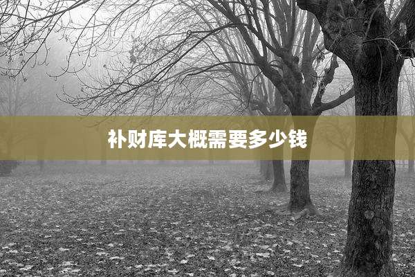 补财库大概需要多少钱