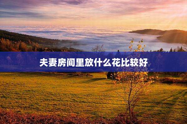 夫妻房间里放什么花比较好