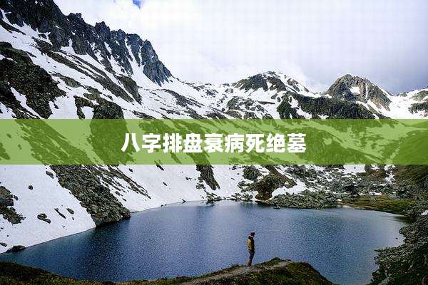 八字排盘衰病死绝墓
