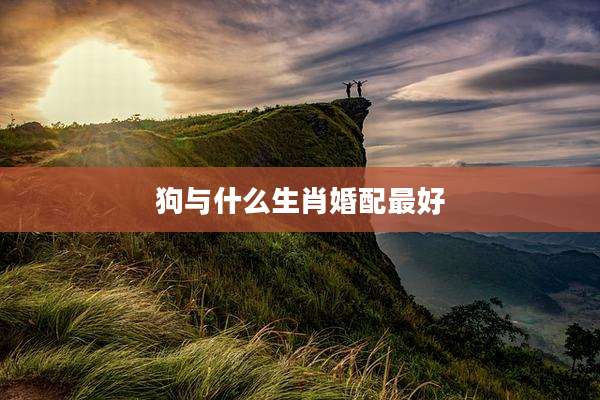 狗与什么生肖婚配最好