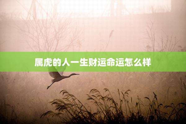 属虎的人一生财运命运怎么样