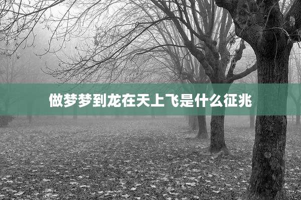 做梦梦到龙在天上飞是什么征兆