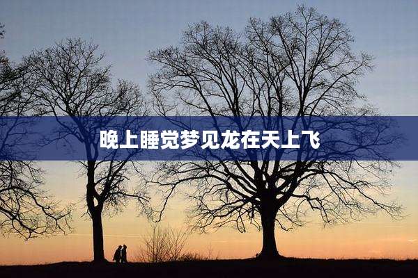 晚上睡觉梦见龙在天上飞