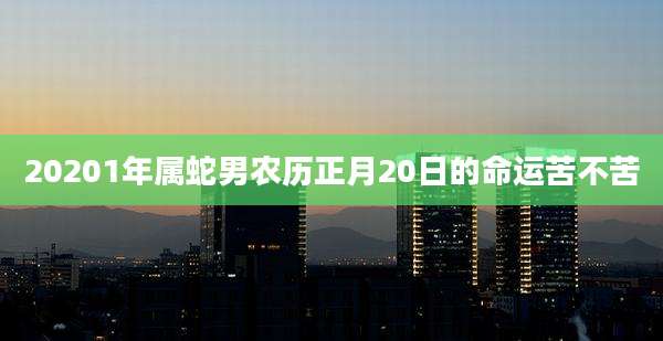 20201年属蛇男农历正月20日的命运苦不苦