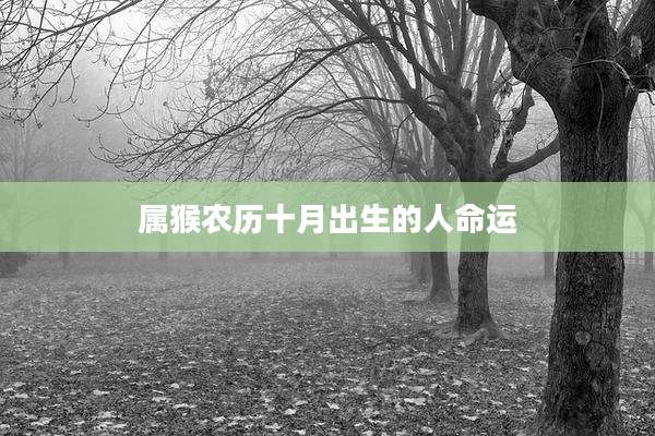 属猴农历十月出生的人命运