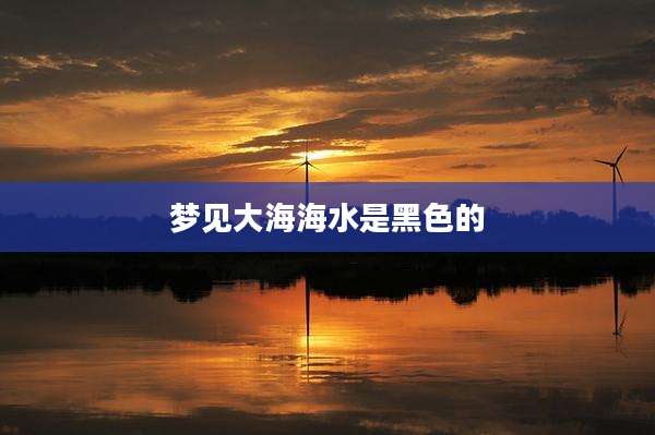 梦见大海海水是黑色的