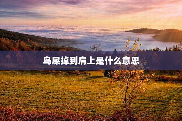 鸟屎掉到肩上是什么意思