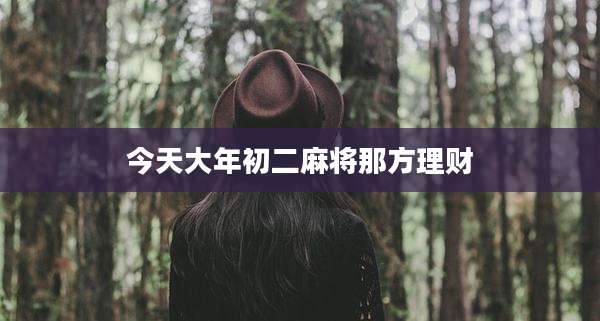 今天大年初二麻将那方理财