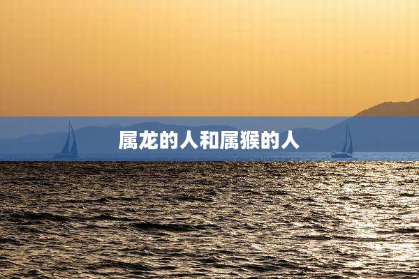 属龙的人和属猴的人