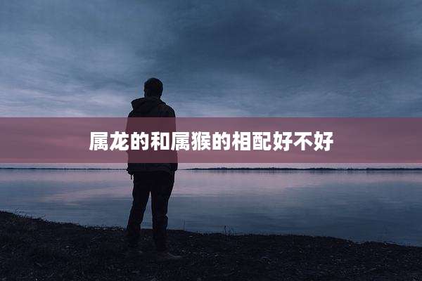 属龙的和属猴的相配好不好