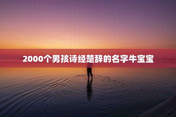 2000个男孩诗经楚辞的名字牛宝宝