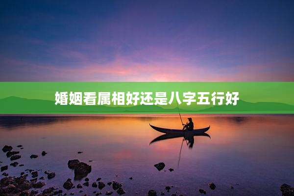 婚姻看属相好还是八字五行好