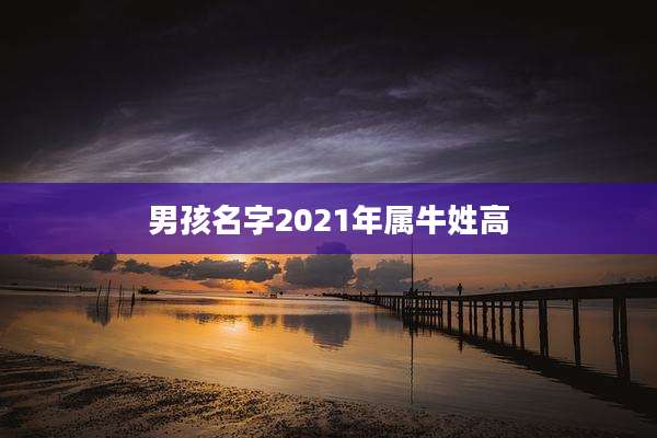 男孩名字2021年属牛姓高