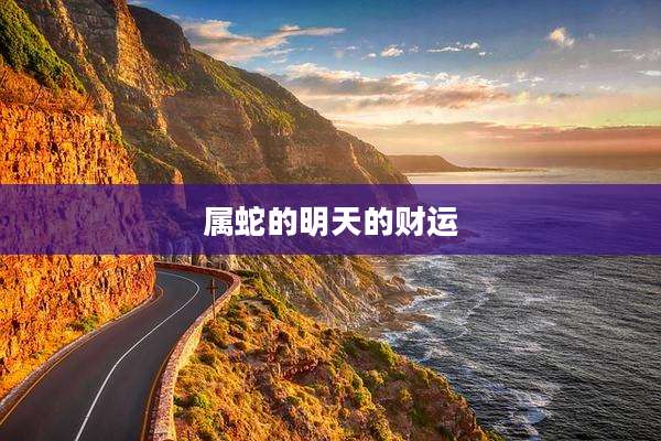 属蛇的明天的财运