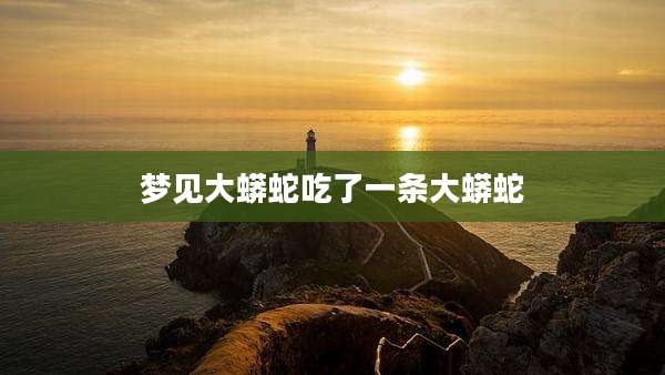 梦见大蟒蛇吃了一条大蟒蛇
