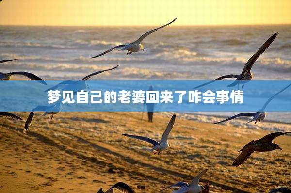 梦见自己的老婆回来了咋会事情