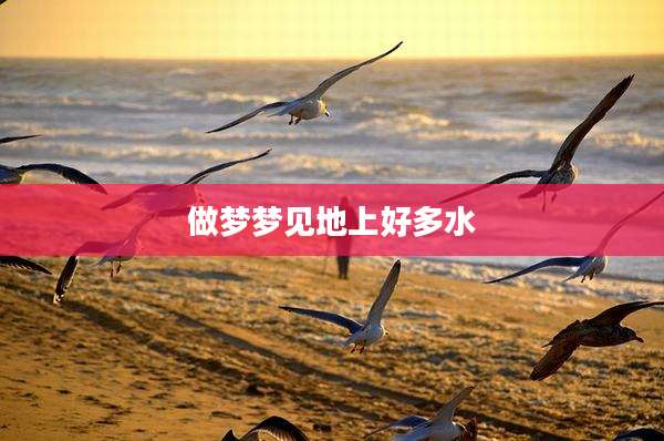 做梦梦见地上好多水