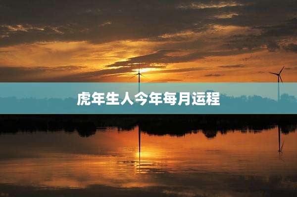 虎年生人今年每月运程
