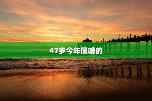 47岁今年属啥的