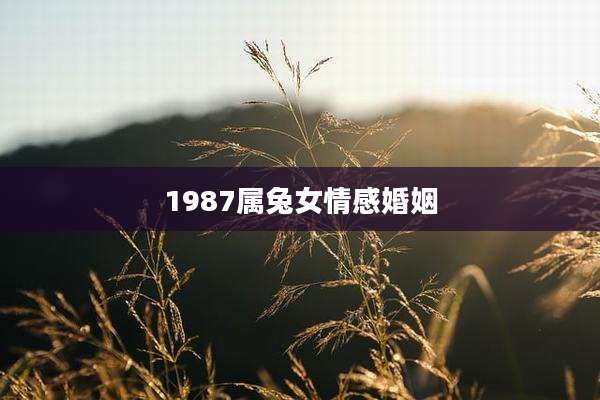 1987属兔女情感婚姻