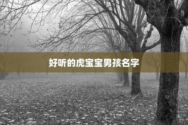 好听的虎宝宝男孩名字