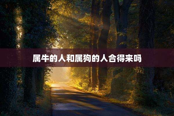 属牛的人和属狗的人合得来吗