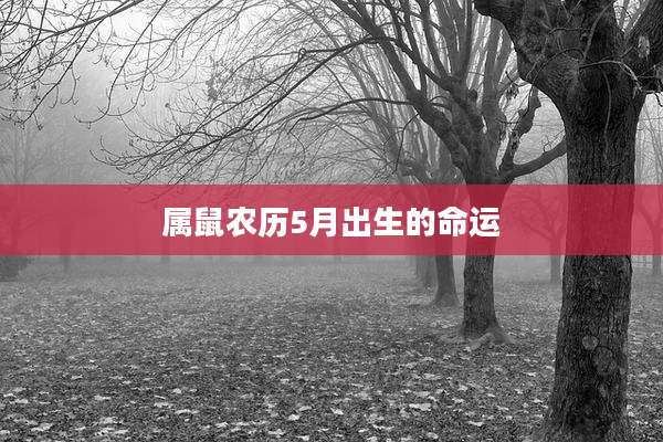 属鼠农历5月出生的命运
