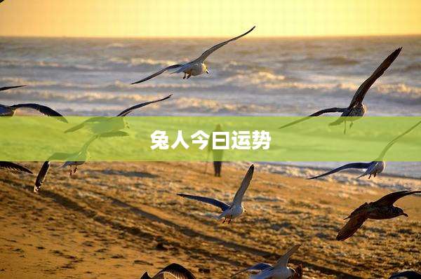 兔人今曰运势