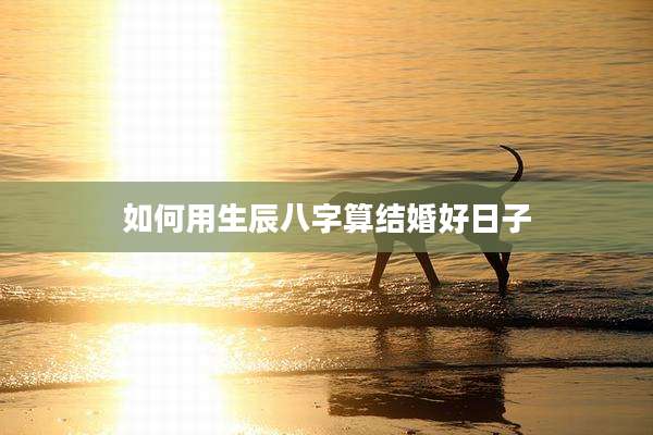 如何用生辰八字算结婚好日子