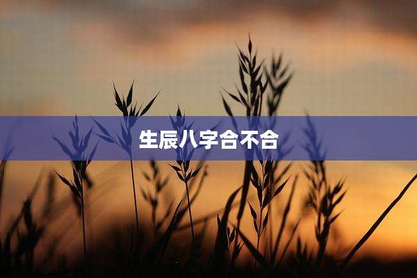 生辰八字合不合