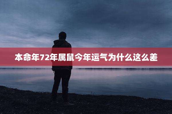 本命年72年属鼠今年运气为什么这么差