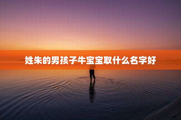 姓朱的男孩子牛宝宝取什么名字好