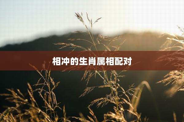 相冲的生肖属相配对