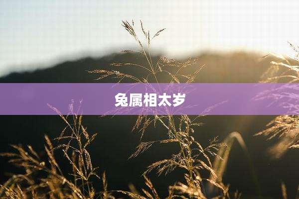 兔属相太岁