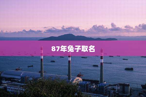 87年兔子取名