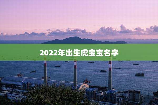 2022年出生虎宝宝名字