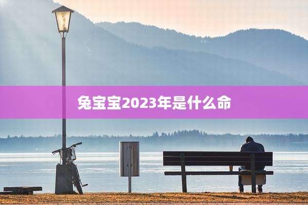 兔宝宝2023年是什么命