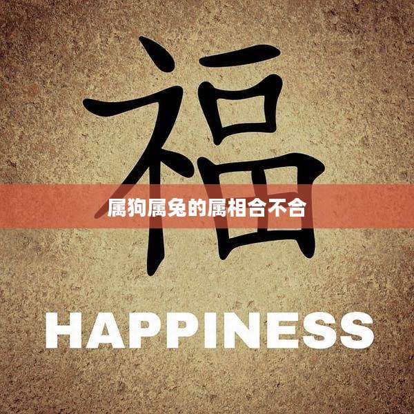 属狗属兔的属相合不合