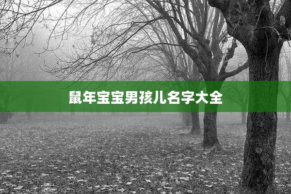 鼠年宝宝男孩儿名字大全