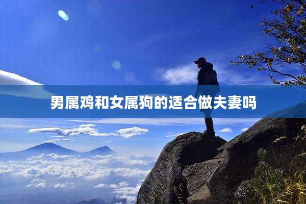 男属鸡和女属狗的适合做夫妻吗