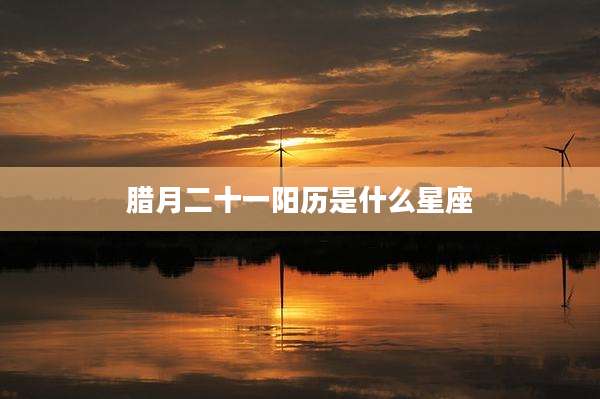 腊月二十一阳历是什么星座